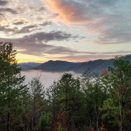 Lazy Bear Lodge Sevierville Eksteriør billede