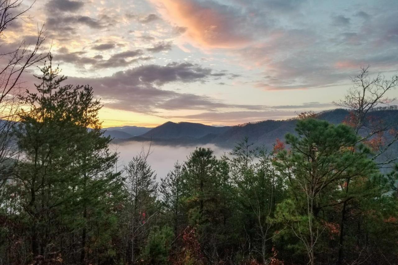 Lazy Bear Lodge Sevierville Eksteriør billede